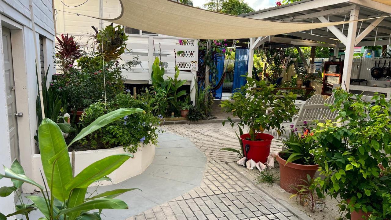 Blue Wave Guest House Caye Caulker Exteriör bild