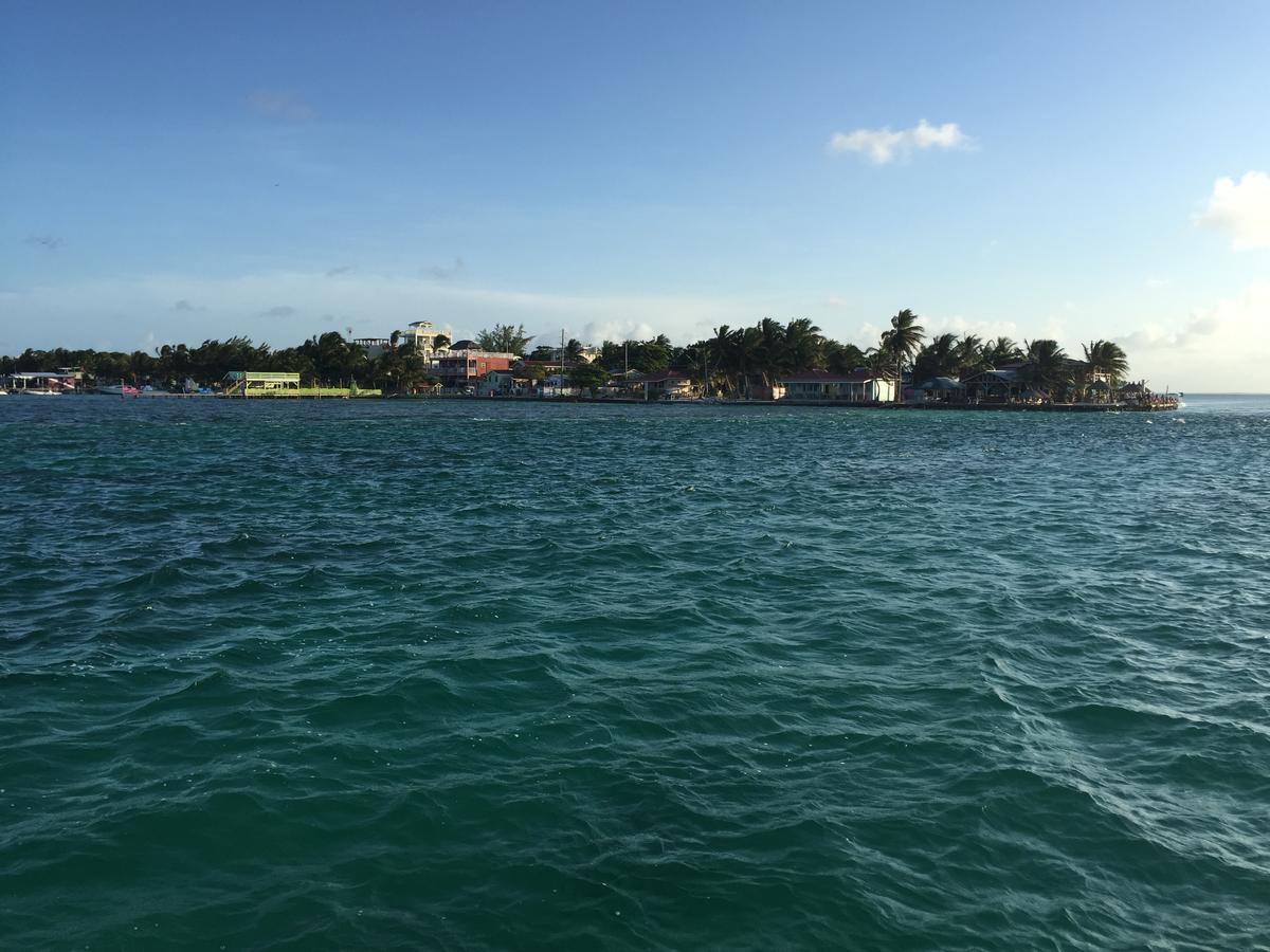Blue Wave Guest House Caye Caulker Exteriör bild